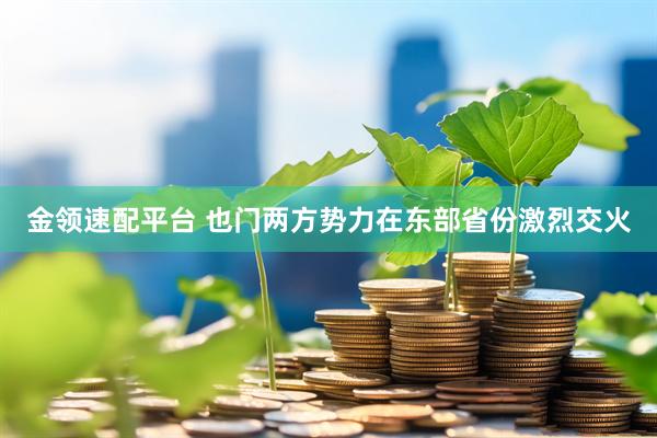 金领速配平台 也门两方势力在东部省份激烈交火