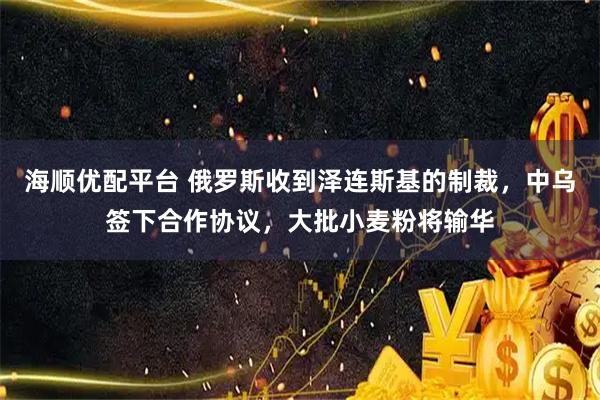 海顺优配平台 俄罗斯收到泽连斯基的制裁，中乌签下合作协议，大批小麦粉将输华